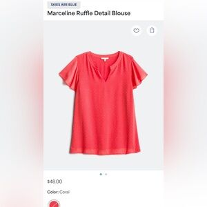 Skies are Blue/  Flutter Cape sleeve / Ruffle Detail. Stitch Fix. Lined. VNeck